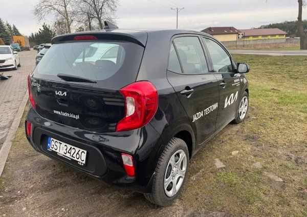 Kia Picanto cena 66900 przebieg: 1500, rok produkcji 2023 z Jastarnia małe 11